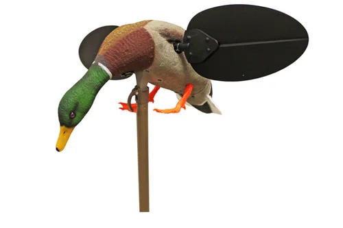 bandwtackle-119223
