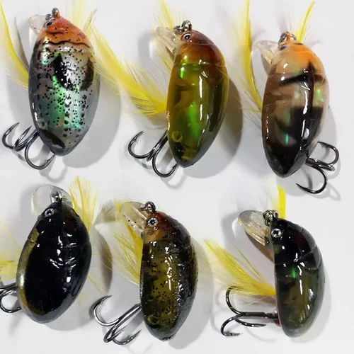 bandwtackle-75744