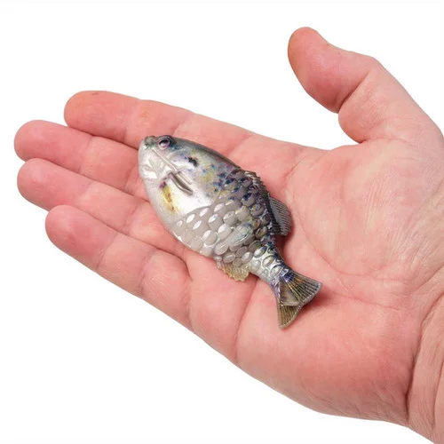bandwtackle-95106