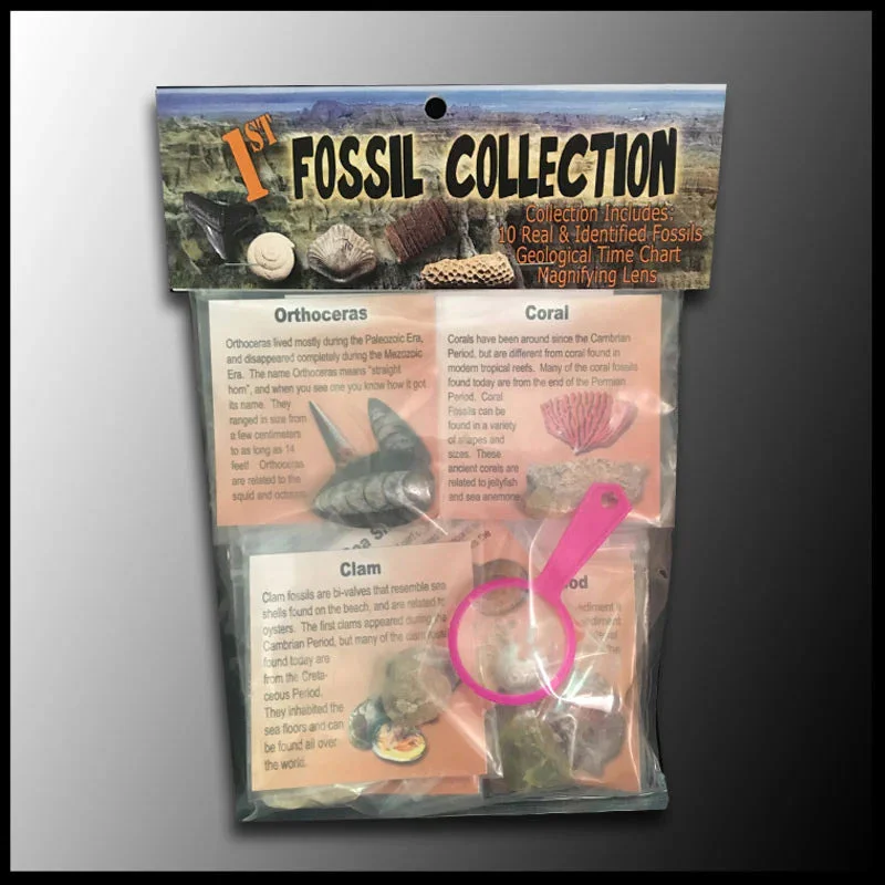 buscherbrosonline25696