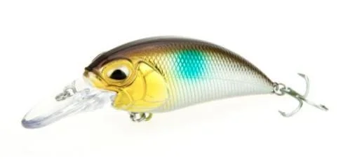 monsterbass172