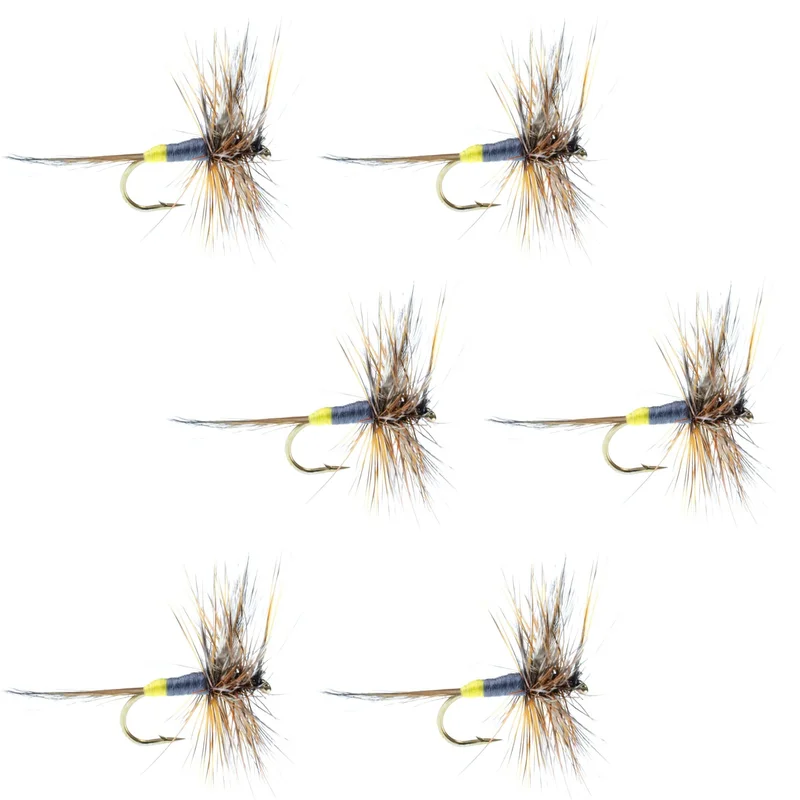 monsterbass33803