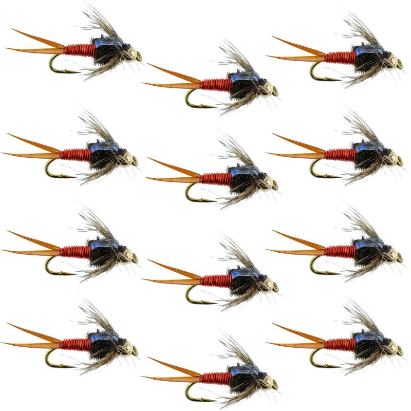 monsterbass34704