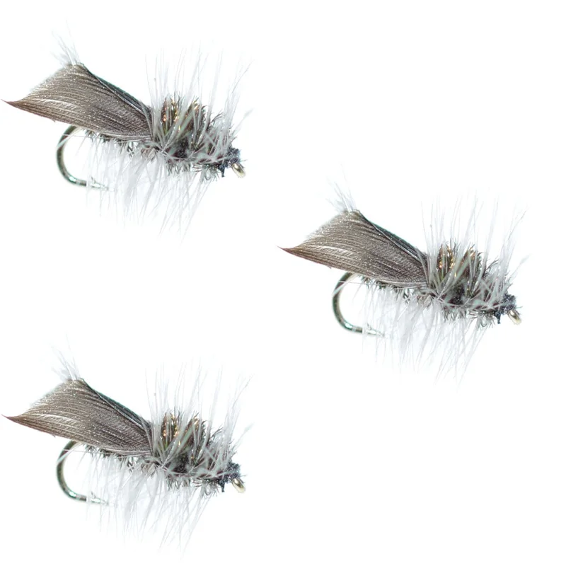 monsterbass36836