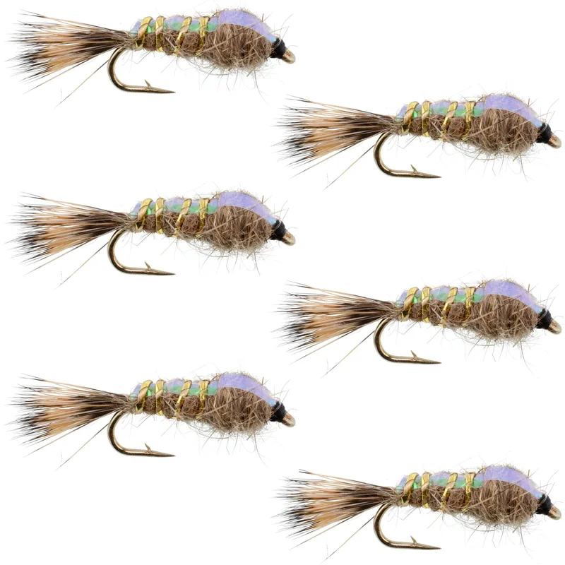 monsterbass41580