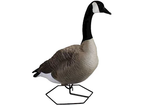 omnioutdoorliving-82289