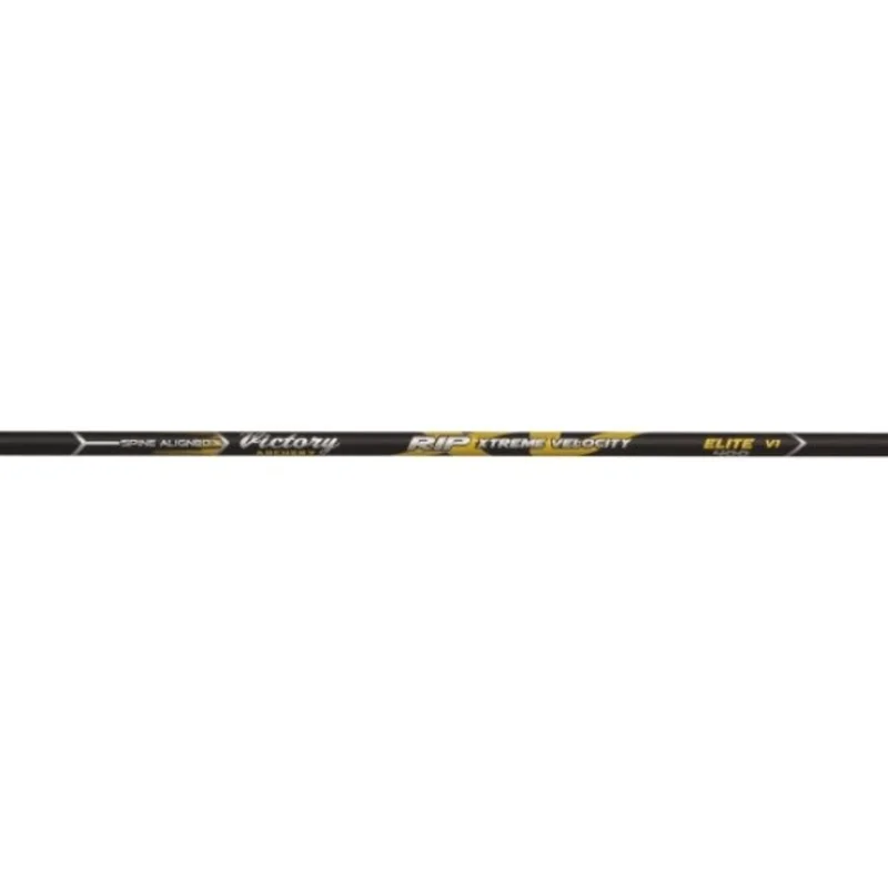 sportco-148547