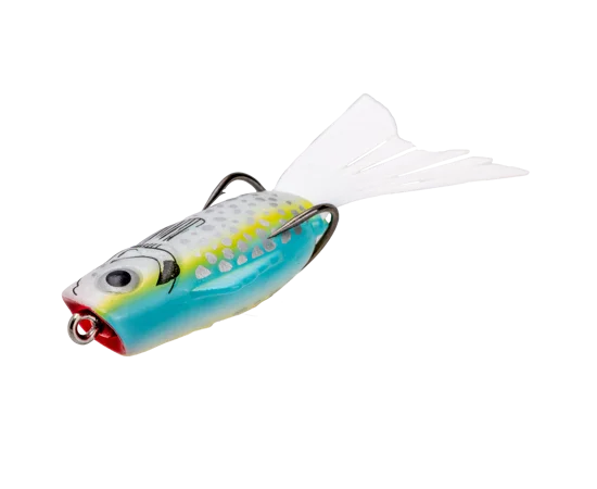 sportco-164725
