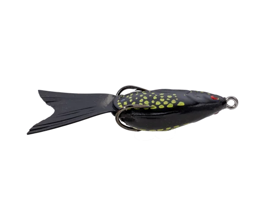 sportco-171125