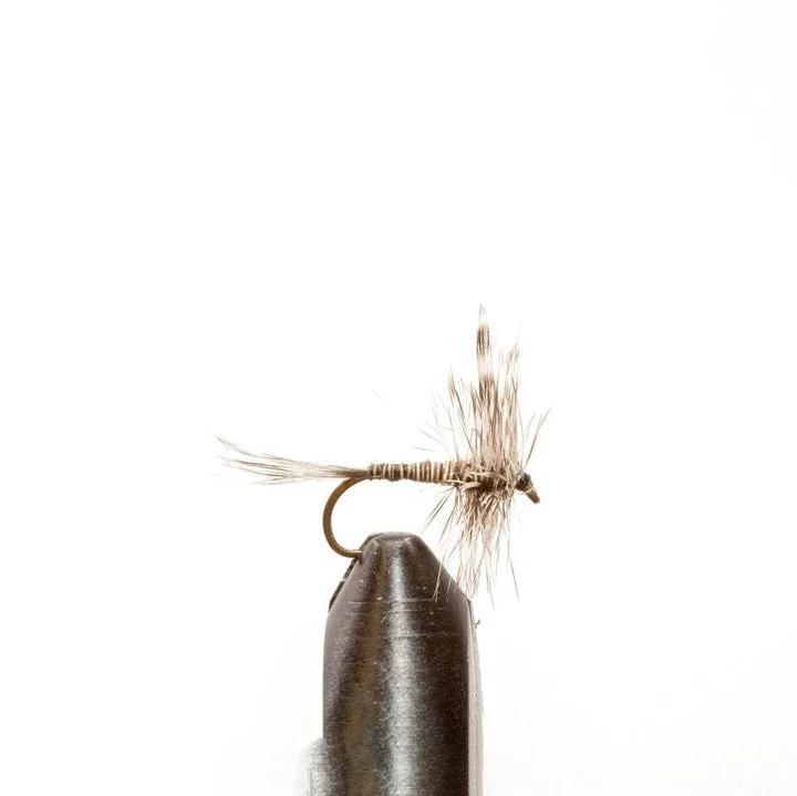 sportco-183183
