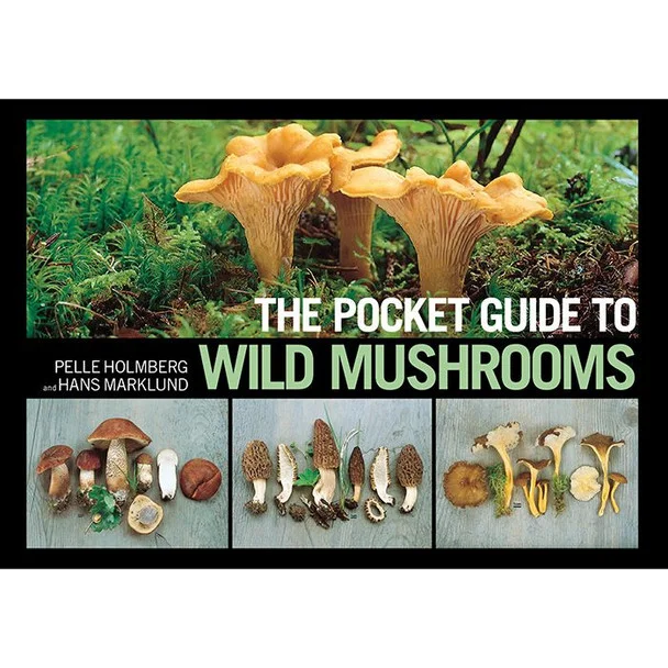 theoutdoorwarehouse1-102991