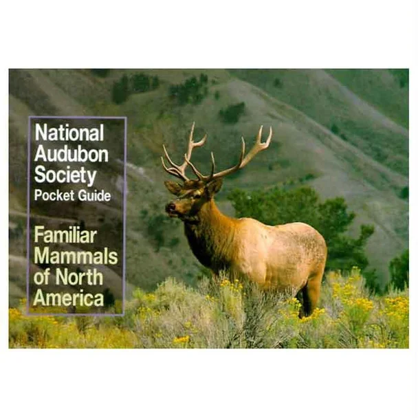theoutdoorwarehouse1-151270