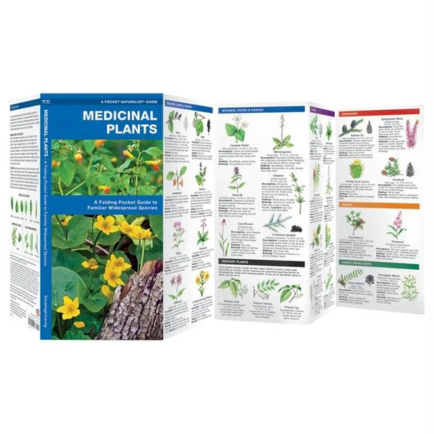 theoutdoorwarehouse1-163116