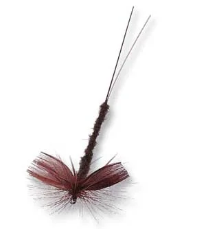 theoutdoorwarehouse1-192542