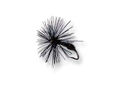 theoutdoorwarehouse1-205249
