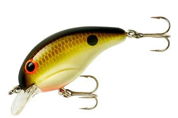 theoutdoorwarehouse1-221868