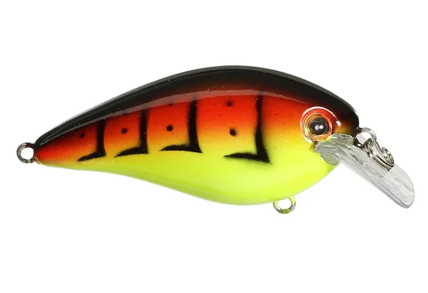 theoutdoorwarehouse2-113431