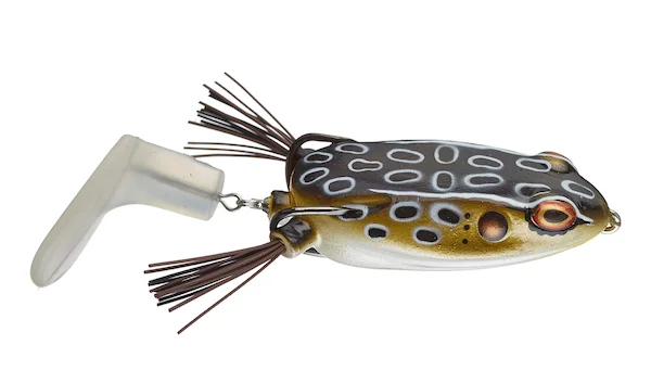 theoutdoorwarehouse2-159619