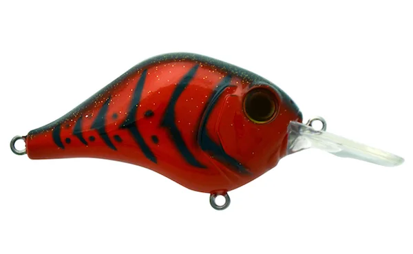 theoutdoorwarehouse2-162173