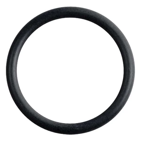 theoutdoorwarehouse2-172062