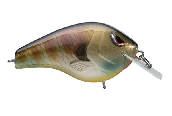 theoutdoorwarehouse2-175266