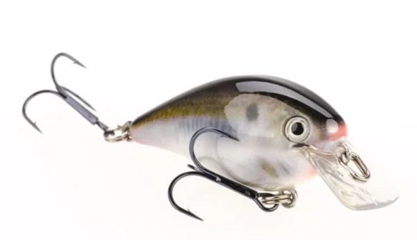 theoutdoorwarehouse2-176454
