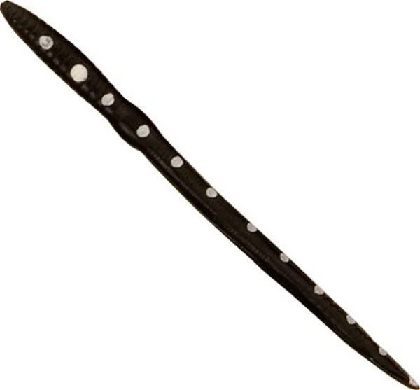 theoutdoorwarehouse2-178128