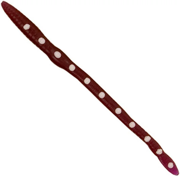 theoutdoorwarehouse2-186029