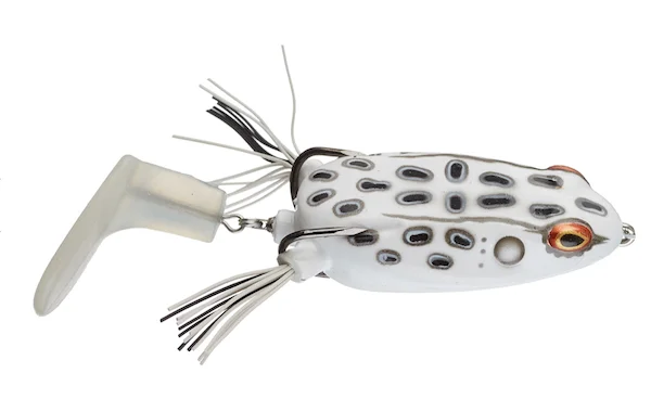 theoutdoorwarehouse2-186460