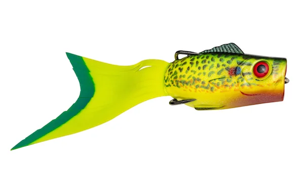 theoutdoorwarehouse2-186837