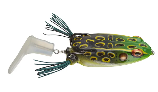 theoutdoorwarehouse2-188204