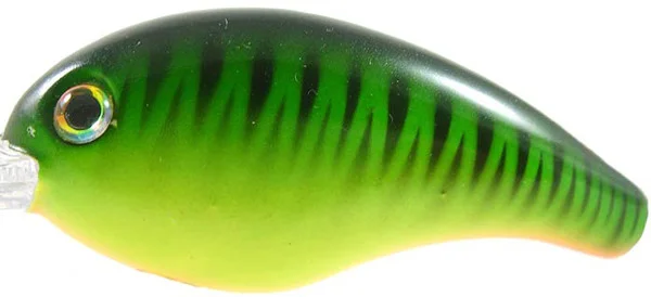 theoutdoorwarehouse2-210209
