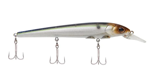 theoutdoorwarehouse2-211625