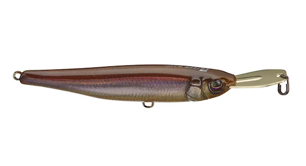 theoutdoorwarehouse2-63574
