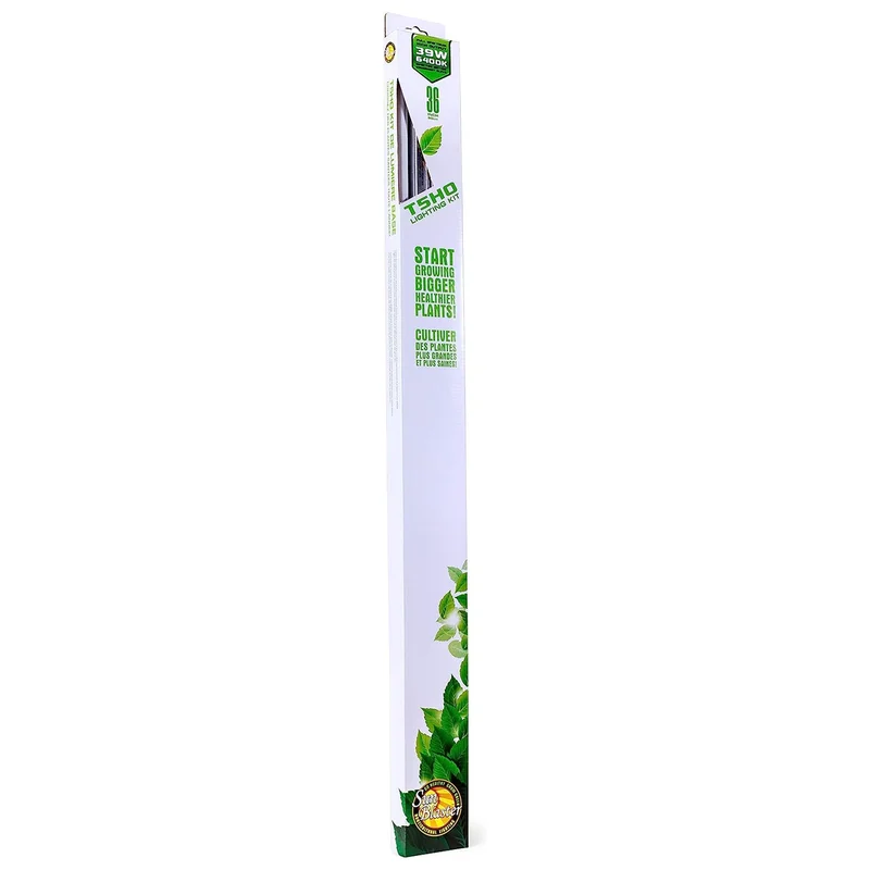 trapski3226145