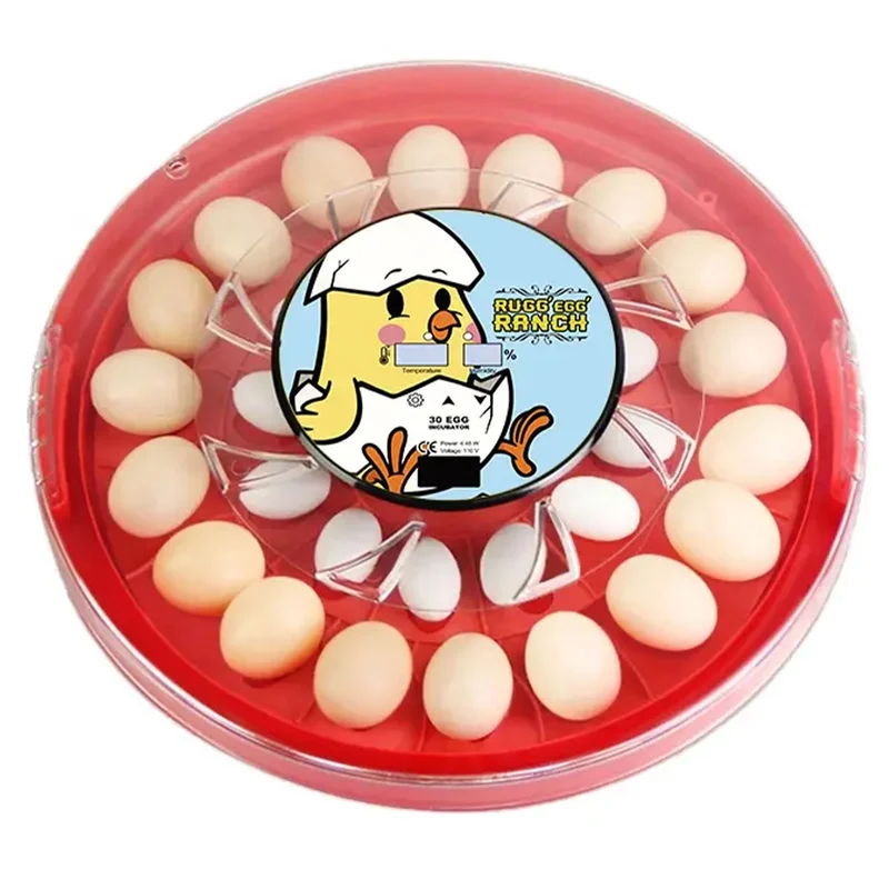 trapski3230798