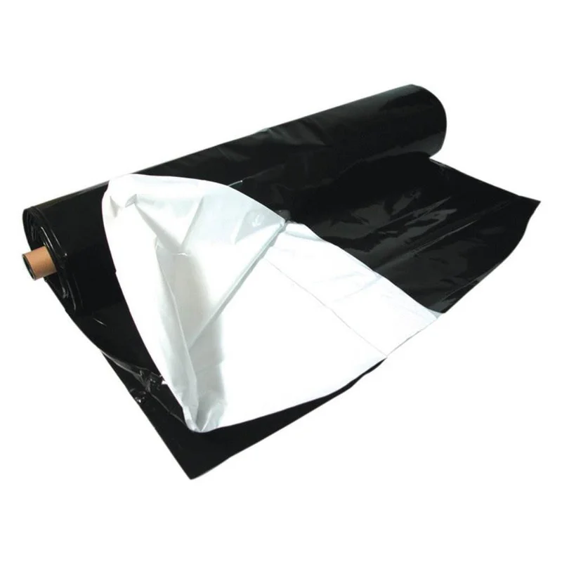 trapski3247084
