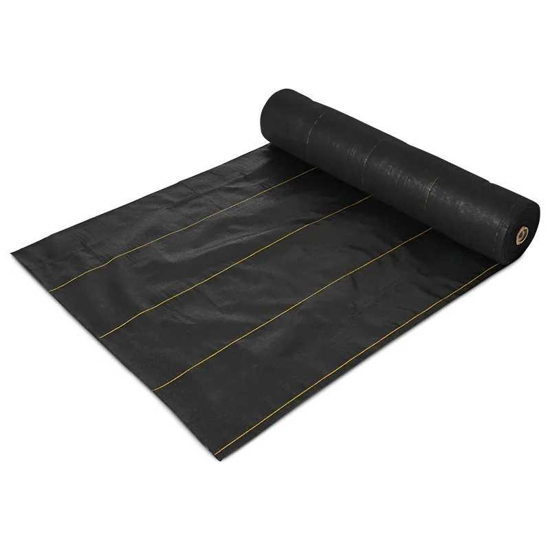 trapski351673