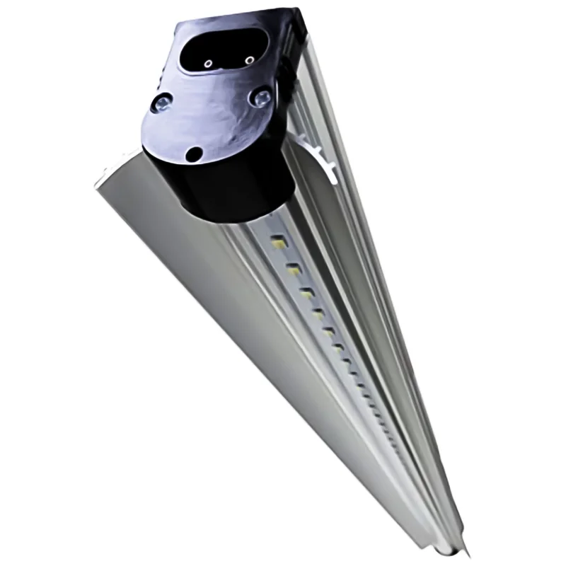 trapski4250803